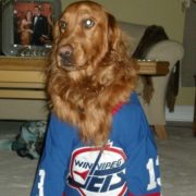 Winnipeg's hockey team