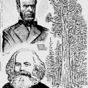 History: One naming controversy after another.