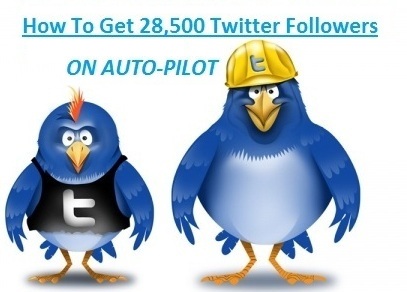 getting-twitter-followers