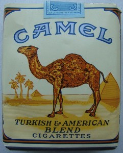 Camel Branding